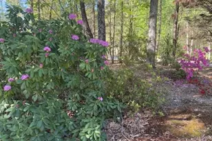 7032 Camp Falls Ct, Winston, GA 30187 - Photo 45