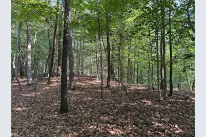 342 Jesse Martin Trail, Canton, GA 30115 - Photo 3