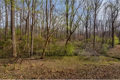 342 Jesse Martin Trail, Canton, GA 30115 - Photo 3