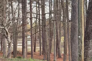 110 Kline Cir, Griffin, GA 30224 - Photo 7