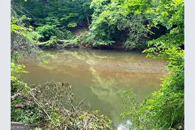 240 Riverview Road, Jackson, GA 30233 - Photo 67