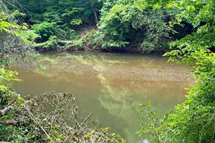 240 Riverview Rd, Jackson, GA 30233 - Photo 67