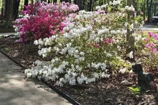 5419 Tyree Rd, Winston, GA 30187 - Photo 53