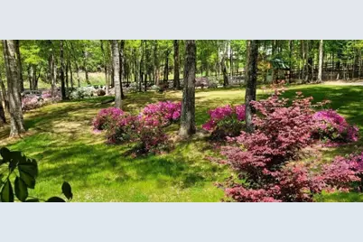 5419 Tyree, Winston, GA 30187 - Photo 69