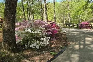 5419 Tyree Rd, Winston, GA 30187 - Photo 55