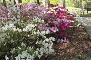 5419 Tyree Rd, Winston, GA 30187 - Photo 59