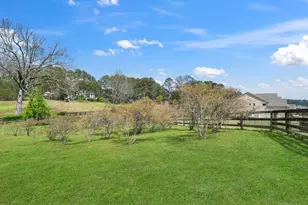 16685 Hopewell Rd, Milton, GA 30004 - Photo 37