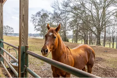 31 Old Hardin Bridge Road, Taylorsville, GA 30178 - Photo 115