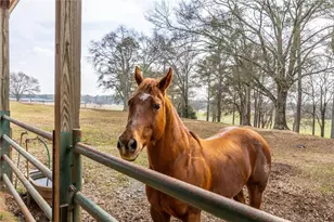 31 Old Hardin Bridge Rd, Taylorsville, GA 30178 - Photo 115