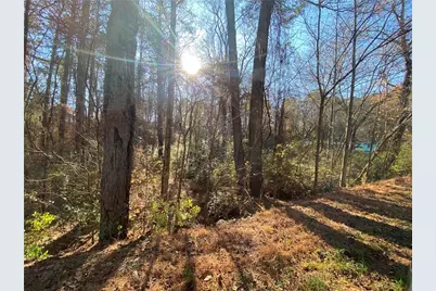 Lot 11 Belletta Drive, Canton, GA 30114 - Photo 3