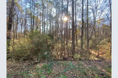 Lot 11 Belletta Drive, Canton, GA 30114 - Photo 5