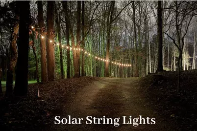 180 Lockwood Road, Fayetteville, GA 30215 - Photo 53