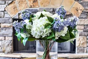 47 Fern Leaf Way, Newnan, GA 30265 - Photo 49