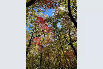 0 Mulberry Court, Jasper, GA 30143 - Photo 13