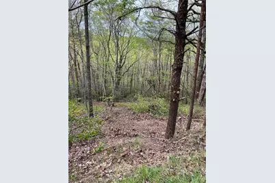 0 Mulberry Court, Jasper, GA 30143 - Photo 11