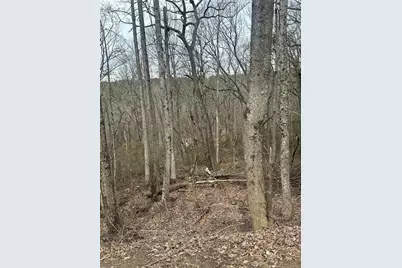 0 Mulberry Court, Jasper, GA 30143 - Photo 1