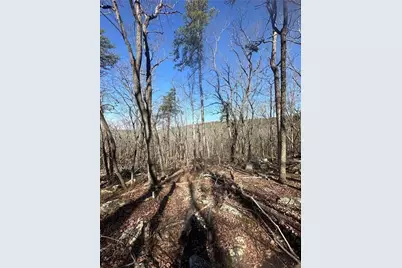 0 Mulberry Court, Jasper, GA 30143 - Photo 7