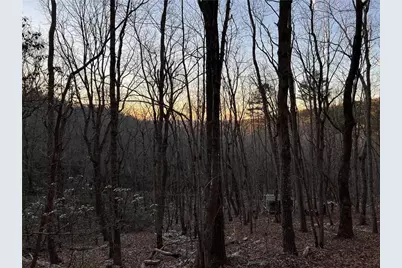 0 Mulberry Court, Jasper, GA 30143 - Photo 5