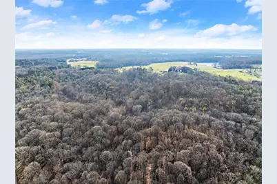 0 Jot Em Down Road, Danielsville, GA 30633 - Photo 11