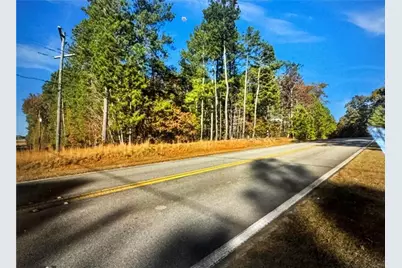 O Freeman Road, Hampton, GA 30228 - Photo 3