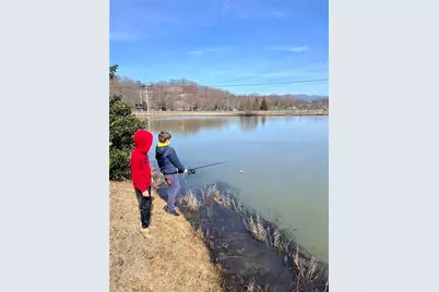 3243 Dogwood Lane, Hiawassee, GA 30546 - Photo 69