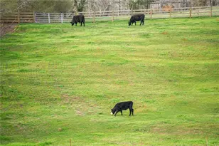 201 Fred Pitts Rd, Demorest, GA 30535 - Photo 51