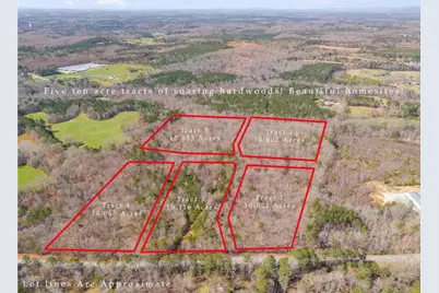 Tract5 Georgia Highway 100, Buchanan, GA 30113 - Photo 3