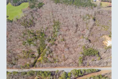 Tract5 Georgia Highway 100, Buchanan, GA 30113 - Photo 5