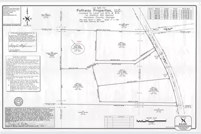 Tract2 Georgia Highway 100, Buchanan, GA 30113 - Photo 9