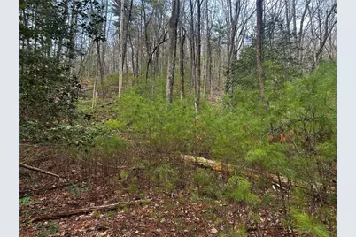 0 Corinth Church Road, Cleveland, GA 30528 - Photo 5