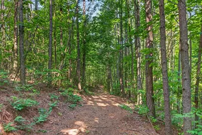 2025 Soap Creek Road, Ball Ground, GA 30107 - Photo 7