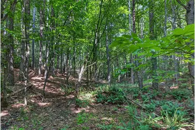2025 Soap Creek Road, Ball Ground, GA 30107 - Photo 17