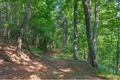 2025 Soap Creek Road, Ball Ground, GA 30107 - Photo 9