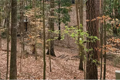 650 Granby Hill Place, Alpharetta, GA 30022 - Photo 43