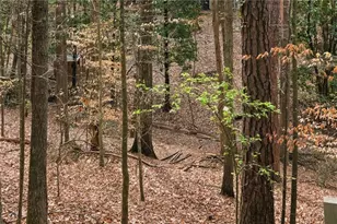 650 Granby Hill Pl, Alpharetta, GA 30022 - Photo 43