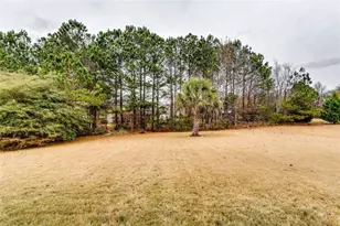 1405 Rainey Way, Hampton, GA 30228 - Photo 43