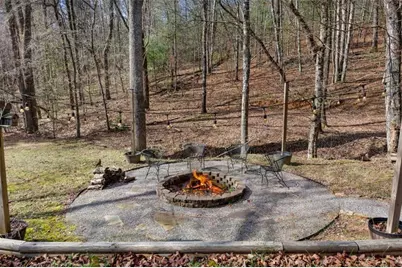 166 Dallas Lane, Blue Ridge, GA 30513 - Photo 21