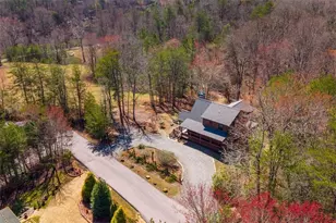 166 Dallas Ln, Blue Ridge, GA 30513 - Photo 3