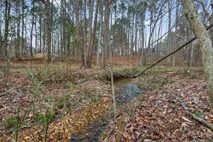 323 Ball Field Road, Waleska, GA 30183 - Photo 35