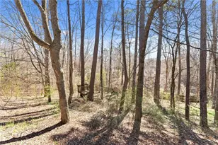 4140 River Bluff Run Way, Suwanee, GA 30024 - Photo 65