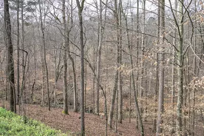 302 Waterfall Court, Canton, GA 30115 - Photo 47