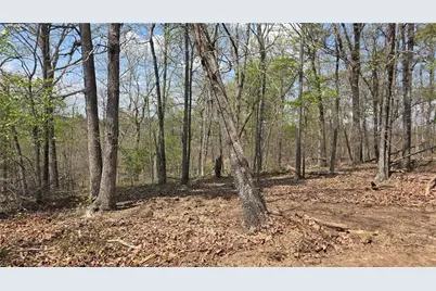 611 Pack Road NE, Ranger, GA 30734 - Photo 13