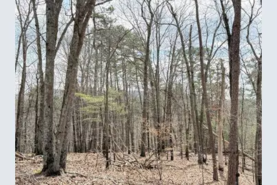 611 Pack Road NE, Ranger, GA 30734 - Photo 9