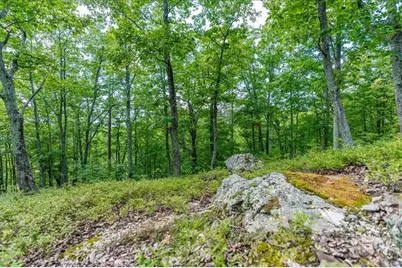 00 E Hermitage Road NE, Rome, GA 30161 - Photo 37