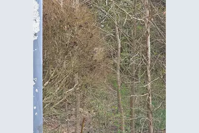 521 Birkdale Boulevard, Carrollton, GA 30116 - Photo 3