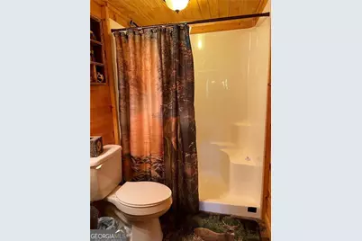 266 Gates Club Road, Ellijay, GA 30540 - Photo 11