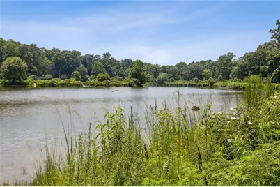 4642 Orchid Drive, Pine Lake, GA 30072 - Photo 53