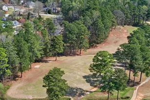8993 Dornoch Cir, Winston, GA 30187 - Photo 53