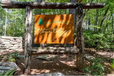 207 Utana Bluffs Trail, Ellijay, GA 30540 - Photo 69