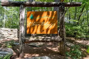 207 Utana Blfs Trl, Ellijay, GA 30540 - Photo 69